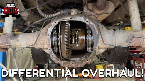 Differential Set Up Bearings