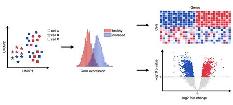 Differential Vs Temporal Gene Expression
