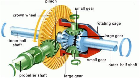 differential what is it