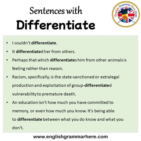 differentiate between in a sentence