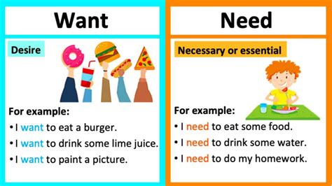 differentiate between needs and wants and provide an example of each