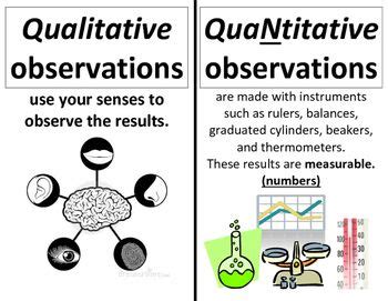differentiate between quantitative and qualitative observations