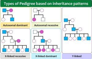 differentiate between the different types of inheritance patterns