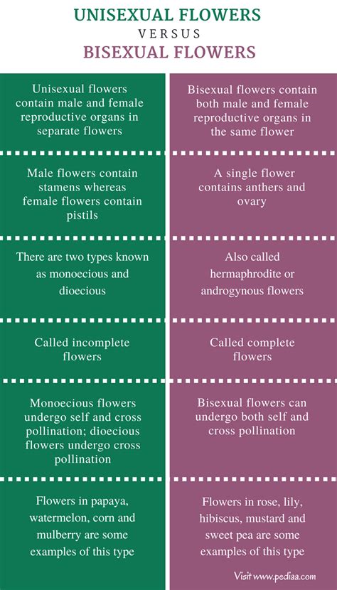 Differentiate Between Unisexual And Bisexual Flower With Example