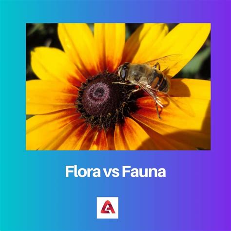 differenza tra flora e fauna
