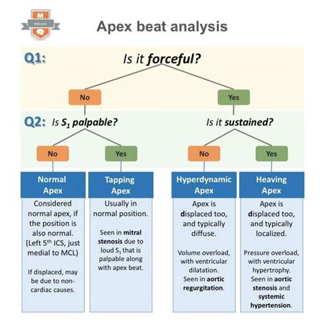 diffuse apex beat causes