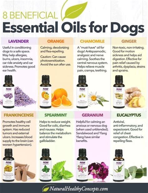 diffuser oils safe for dogs