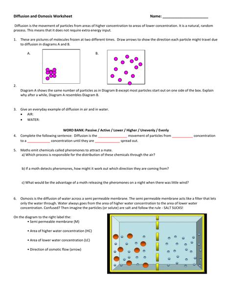 diffusion and osmosis worksheet answer key