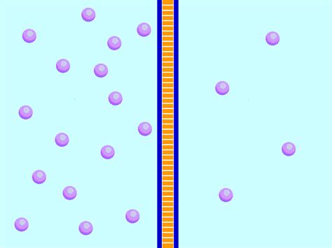 diffusion animation gif