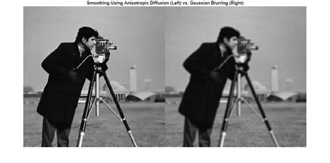 Diffusion Filtering Image