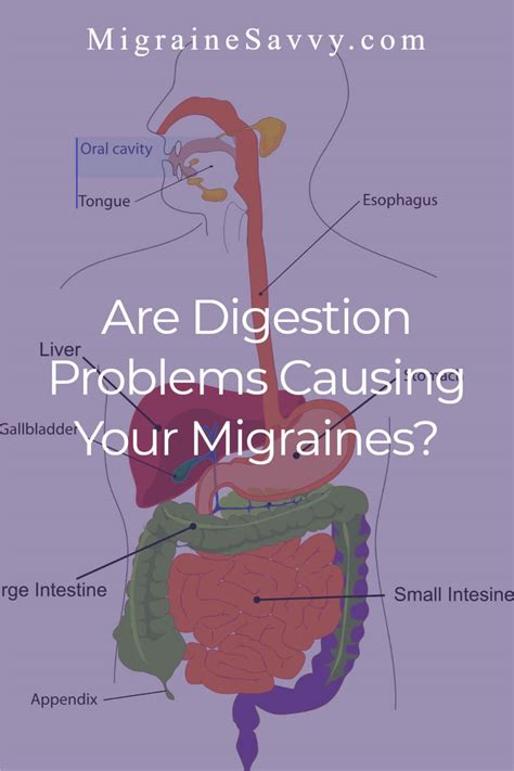 Digestion And Headaches