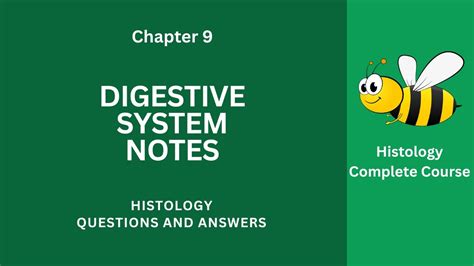 Digestive System Questions And Answers Pdf Class 9