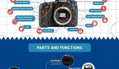 Digital Camera Parts Diagram How Your DSLR Works Working Daddy