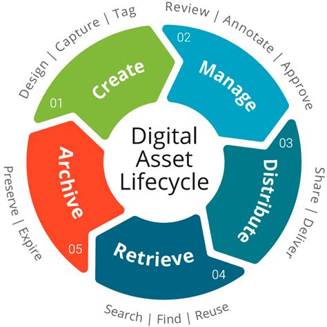 digital asset management implementation