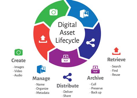 digital asset management systems tools