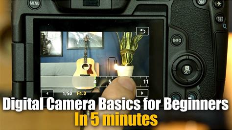 Digital Camera Basics For Beginners