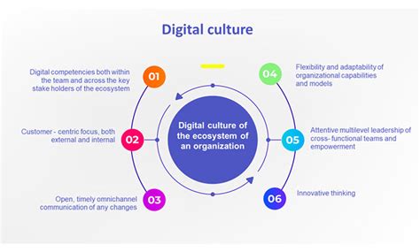 digital culture framework