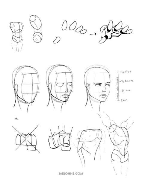 digital drawing exercises for beginners