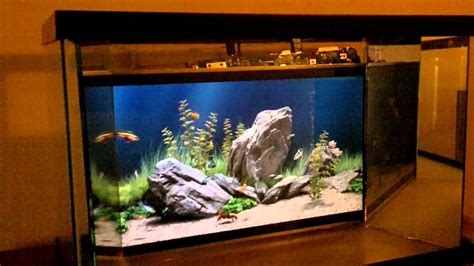 digital fish tank
