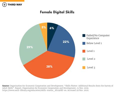 Digital Literacy Statistics