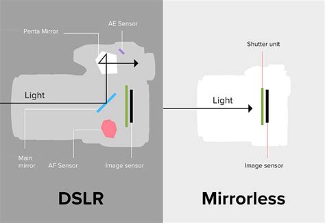 Digital Slr Camera Vs Mirrorless