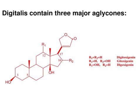 Digitalis Glycosides