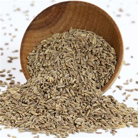 Dill Seeds Dried Dill Seed Buy Bulk Spices Gourmet Spices