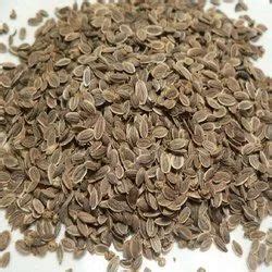 Dill Seeds Manufacturer in Junagadh Gujarat India by Krastradhi