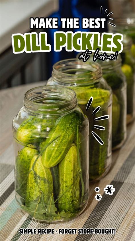 Dill Pickle Pickling Time