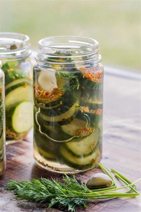 Dill Pickle Recipe Small Batch