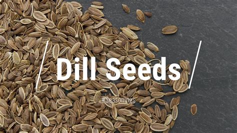 Dill Seed Meaning