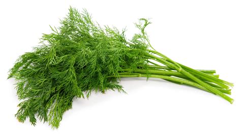 Dill To Hindi