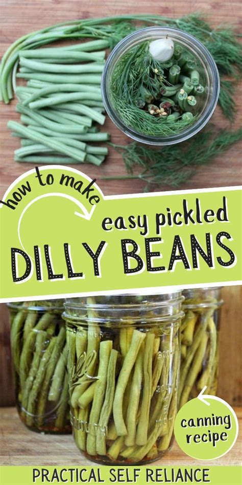 Dilly Beans Quarts
