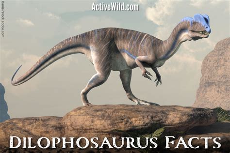 Dilophosaurus Say It