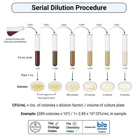 Dilution Calculator Serial