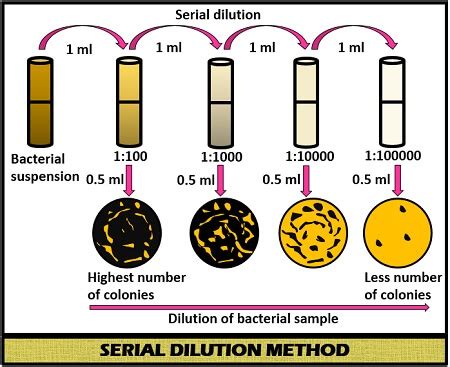 Dilution Method For Bacterial Isolation