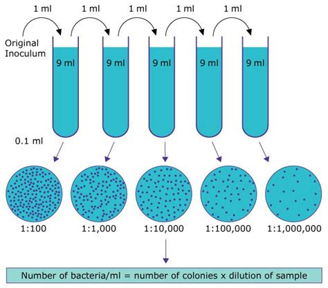 Dilution Method Microbiology