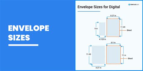 Dimensions Of #6 Envelope