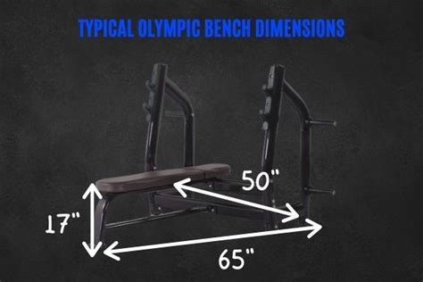 Dimensions Olympic Bench