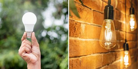 Dimmable Light Bulbs How To Use