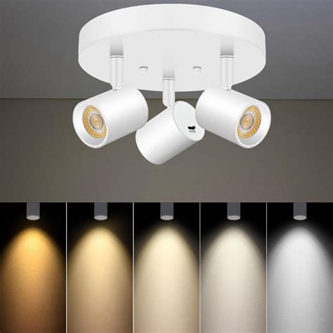 Dimmable Light Fixtures Indoor