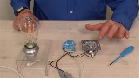 Dimmer Lamp Vervangen