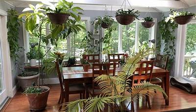 Dining Room Plant Decor Ideas