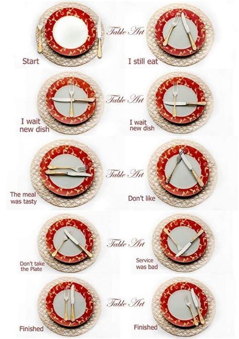 Dinner Plate Etiquette