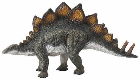 Stegosaurus Malbuch mit Stacheln auf Schwanz und Rücken für Druck und