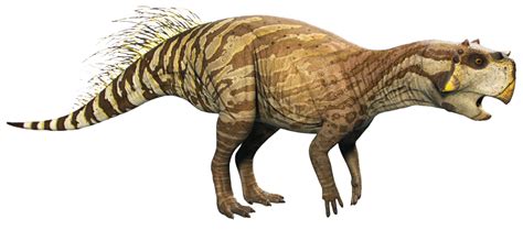 dino dana psittacosaurus