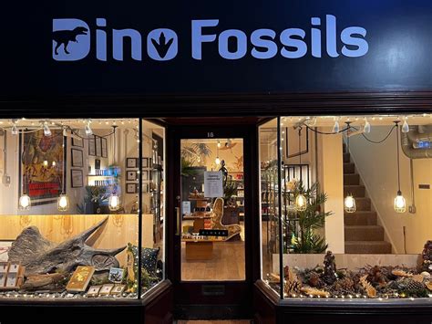 Dino Fossils Uk Discount Code