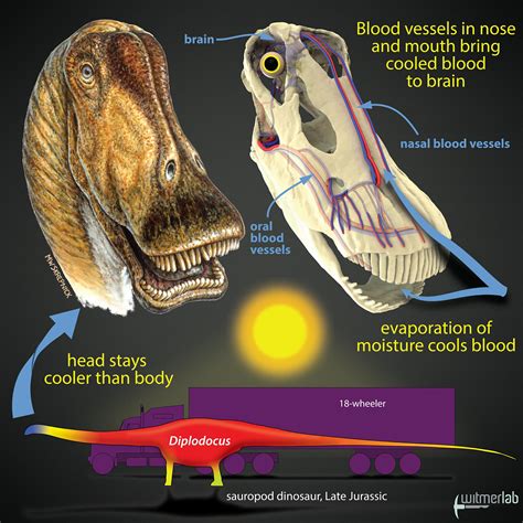 Dinosaur Brain