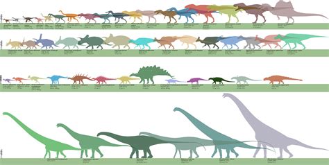 Dinosaur Chart Size