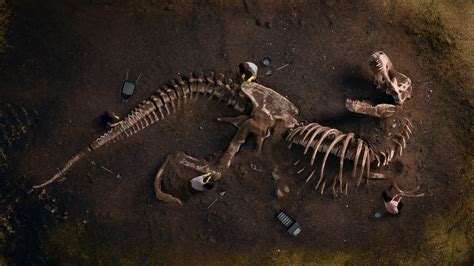 Dinosaur Fossil Discovery